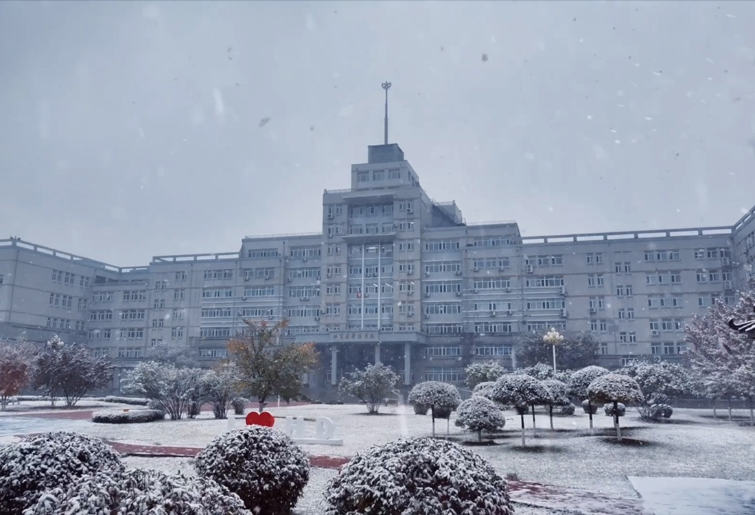 北国飞花，落雪为信，九游会J9.(中国)官方网站邀您共赴冰雪奇境！​
