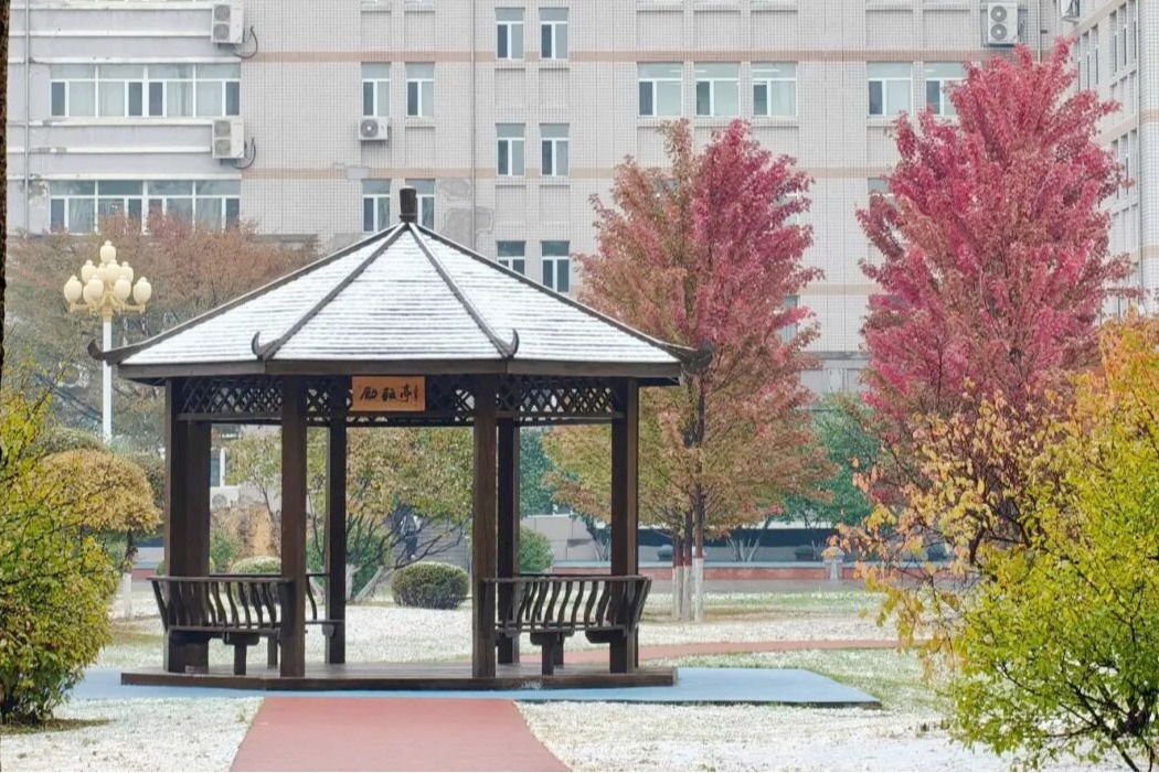 我们的冬日相册：华德的雪，为何下得如此温柔