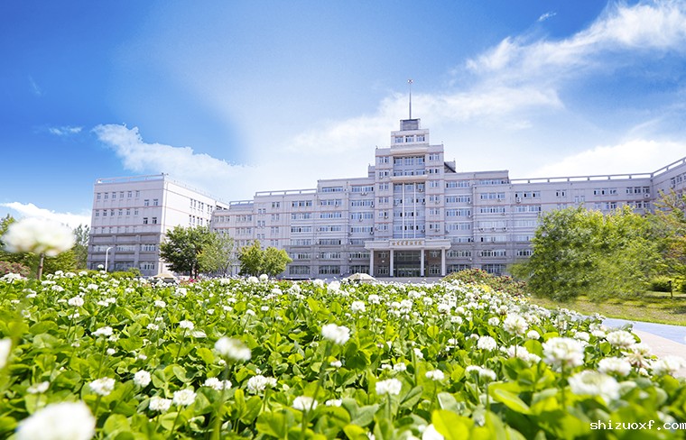 行政楼